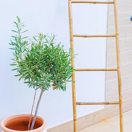 Βίλα Casa Isabelle *